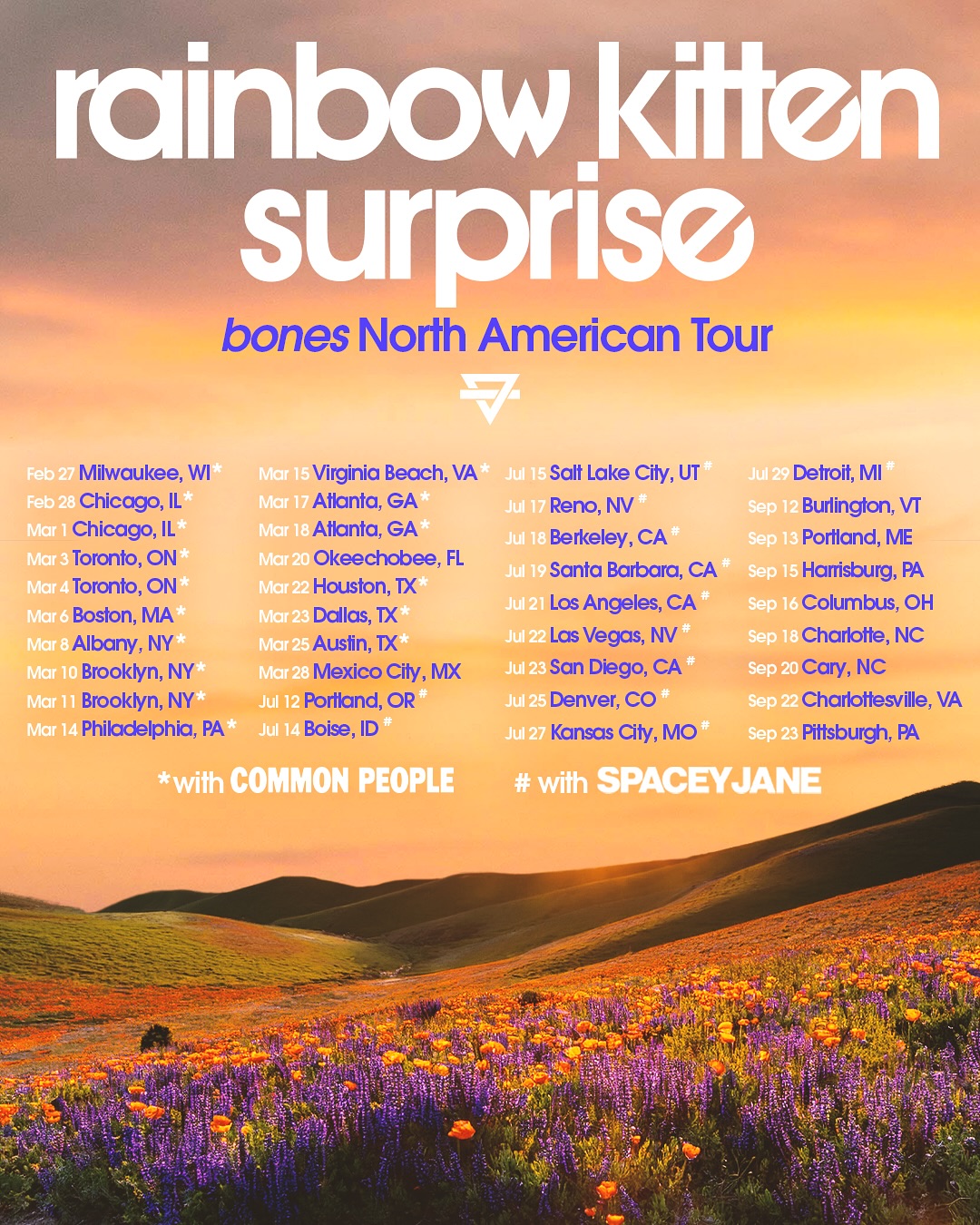 Rainbow Kitten Surprise bones Tour Tour Poster 2026